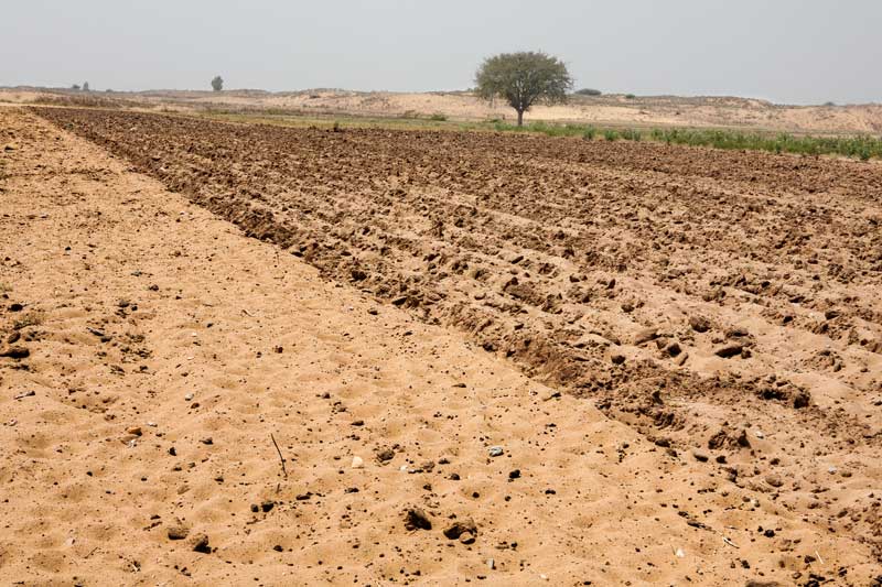 Impact of Green Revolution on Water Resources in India - Desertification in Anantapuramu district, Andhra Pradesh